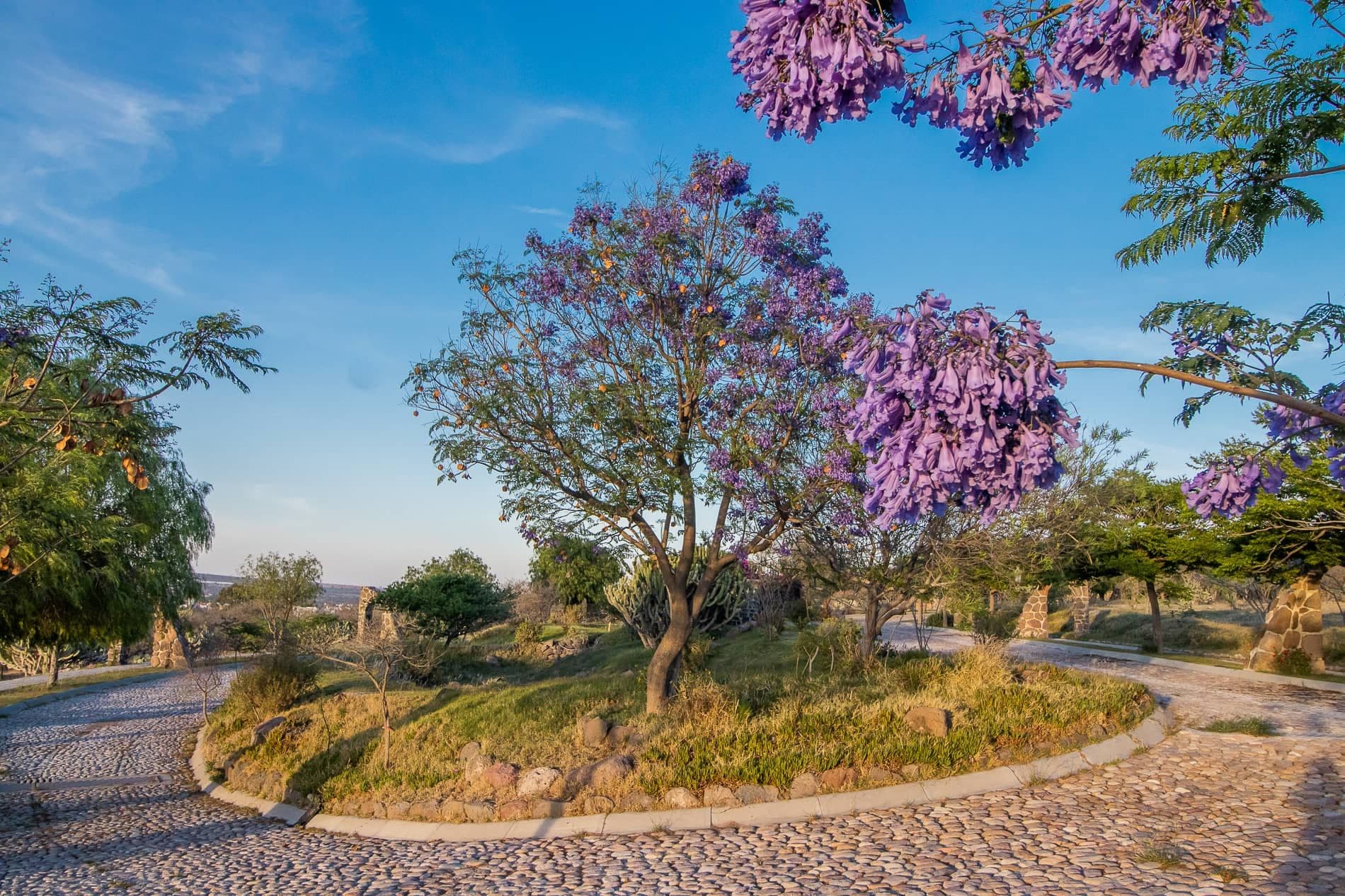 AltaVista Lot 13 – 1,642 m² | Estate Luxury Lot for Sale in San Miguel de Allende — photo 7 of 7