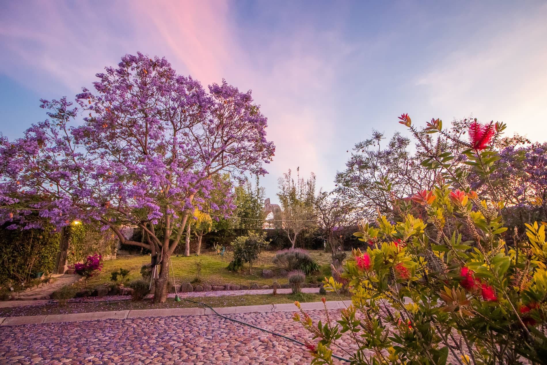 AltaVista Lot 13 – 1,642 m² | Estate Luxury Lot for Sale in San Miguel de Allende — photo 9 of 10