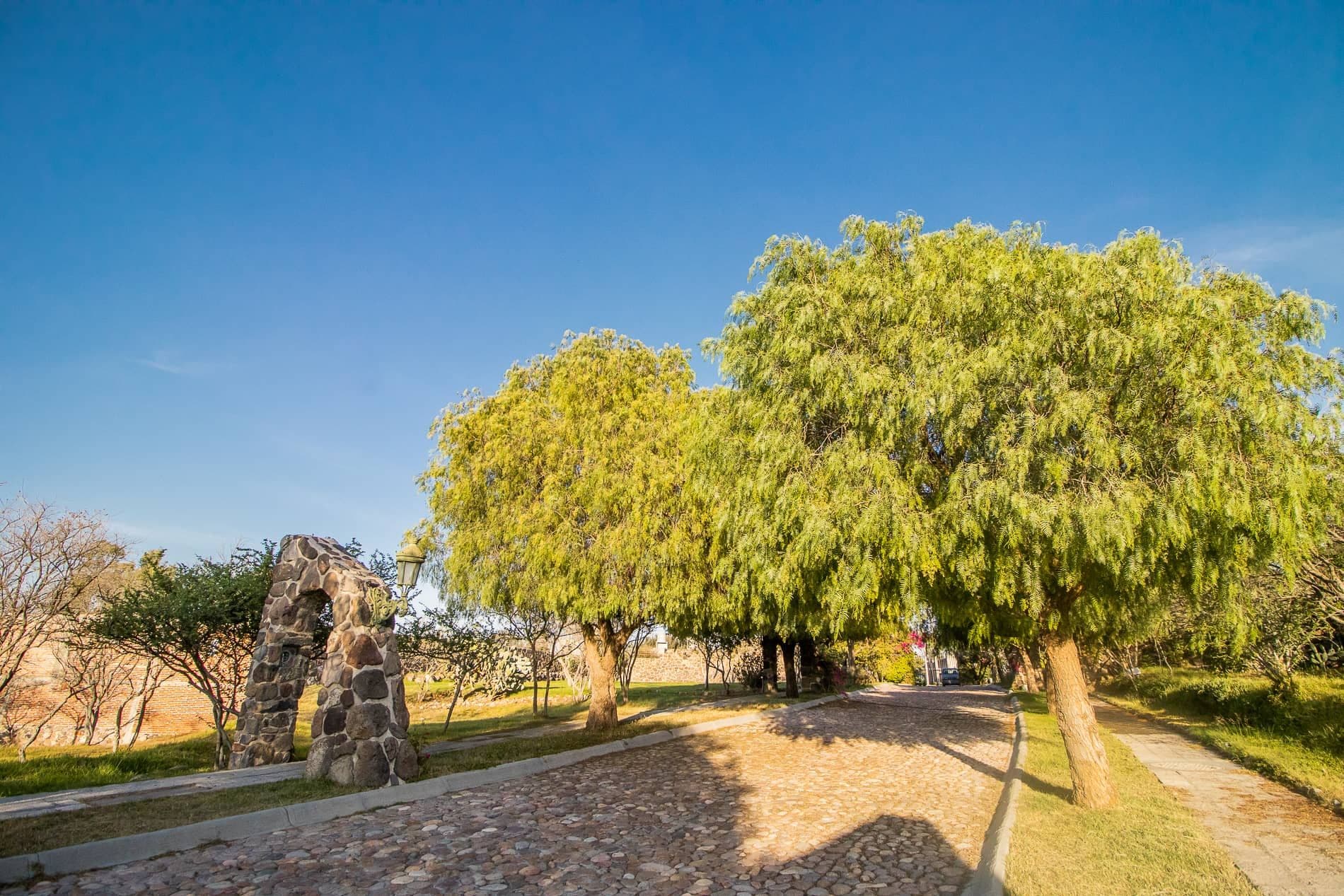 AltaVista Lot 13 – 1,642 m² | Estate Luxury Lot for Sale in San Miguel de Allende — photo 5 of 7