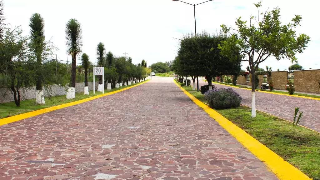 Lot 103 Quinta Real — photo 3 of 7
