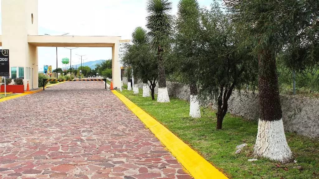 Lot 103 Quinta Real — photo 4 of 7