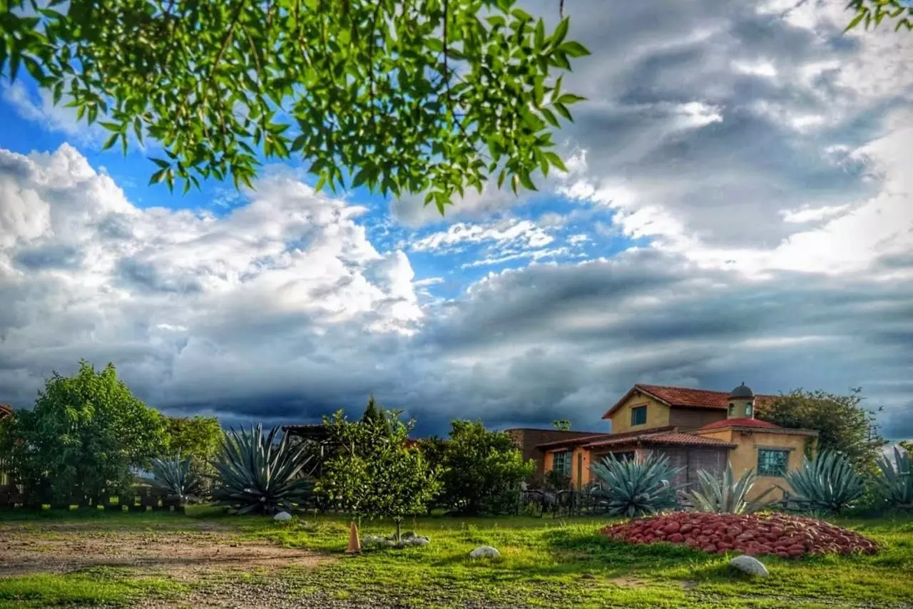 Casa Los Olivos — photo 1 of 10