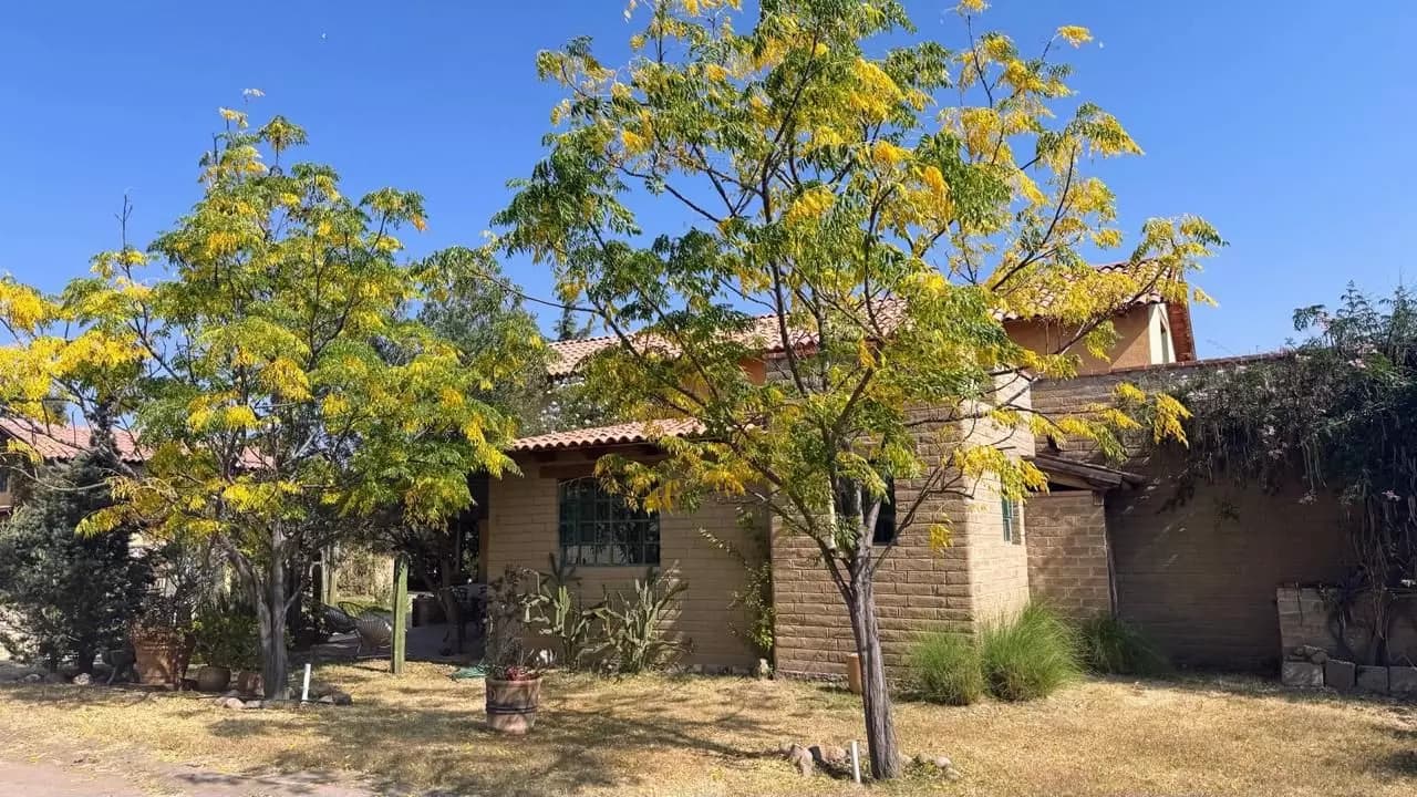 Casa Los Olivos — photo 10 of 10