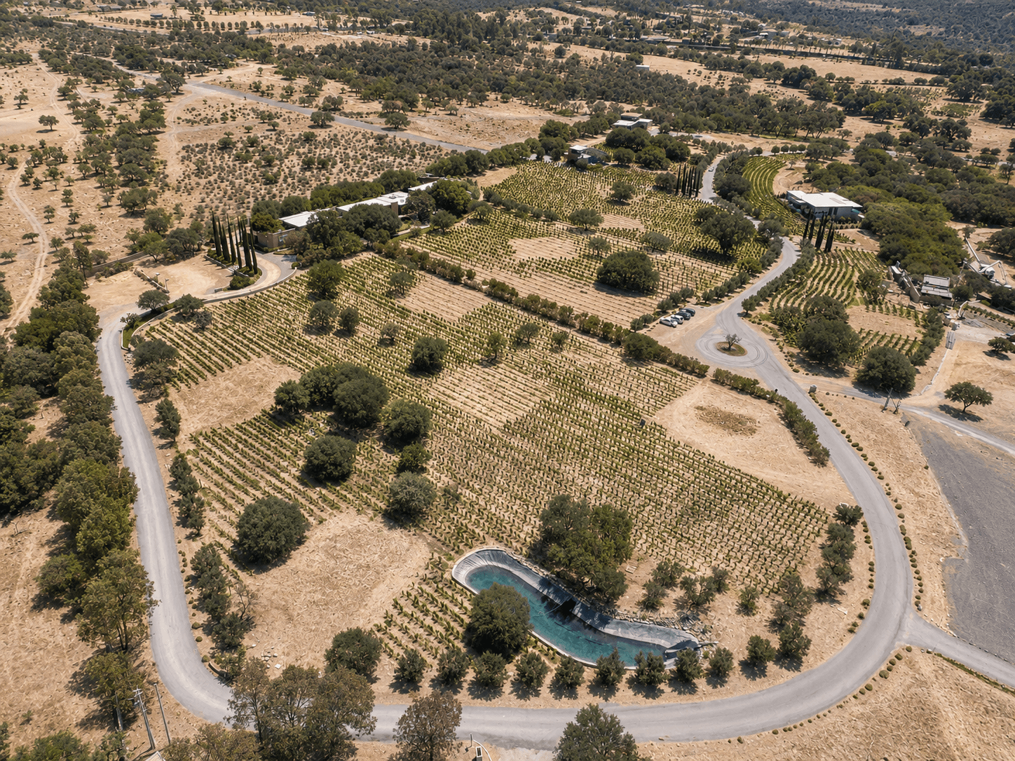 L 4 VIÑEDOS DE LOS SENDEROS — photo 3 of 5