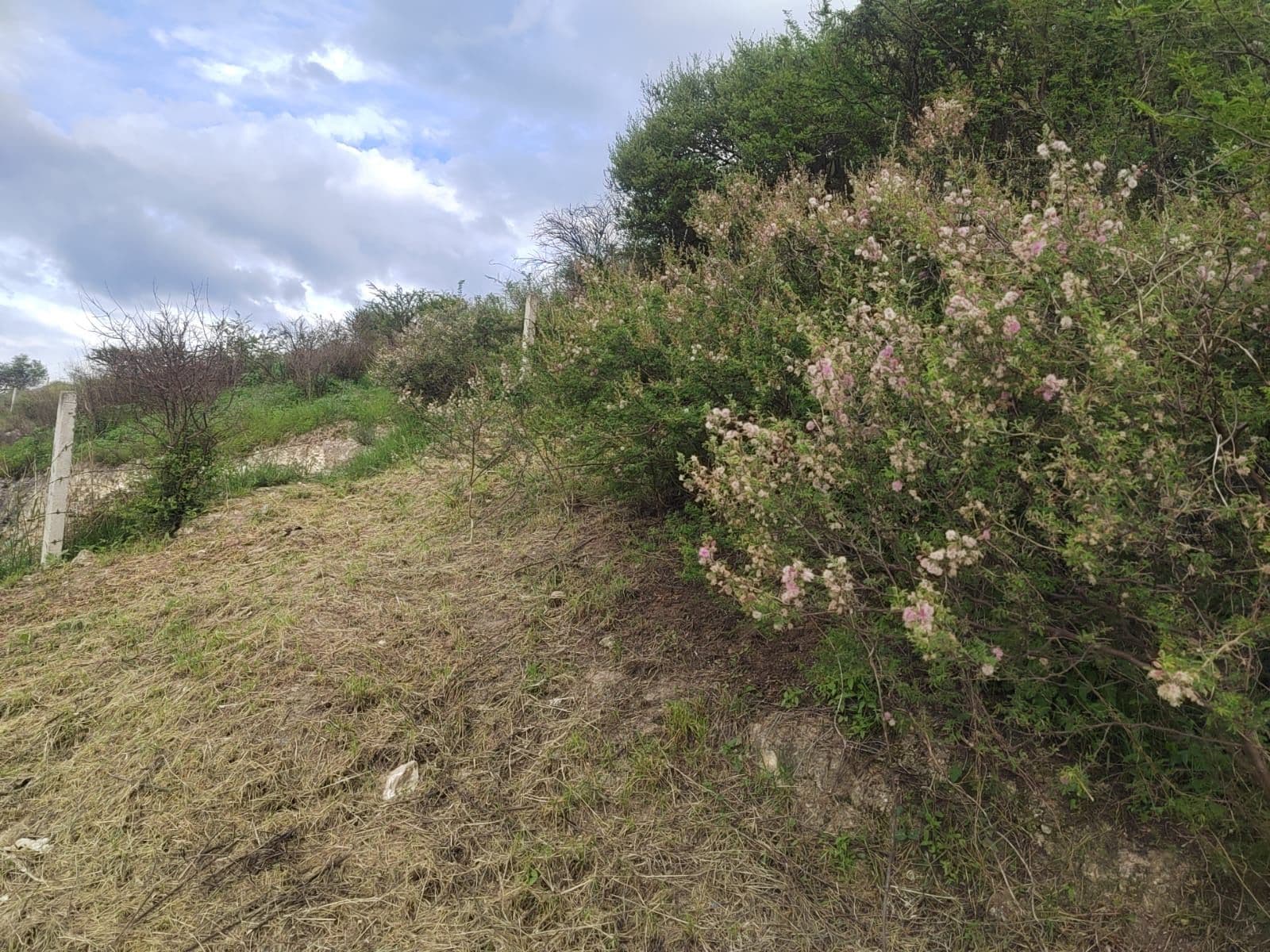 Lote Silvia — photo 1 of 6
