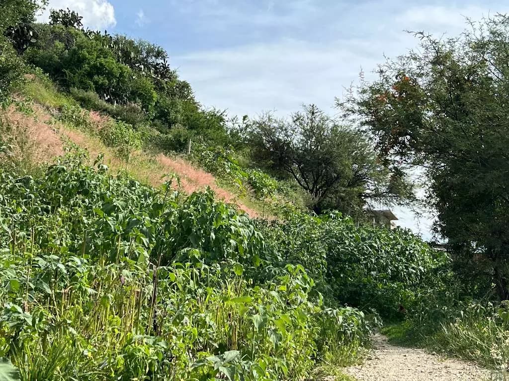 Lote Silvia — photo 6 of 7