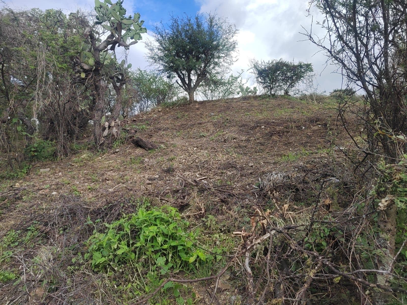 Lote Silvia — photo 5 of 6