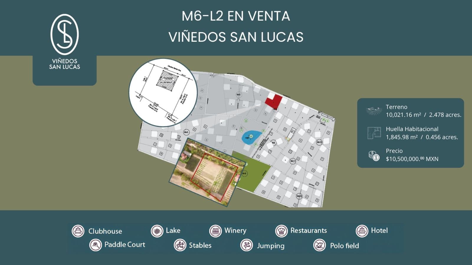 M6-L2 VIÑEDOS SAN LUCAS — photo 1 of 6
