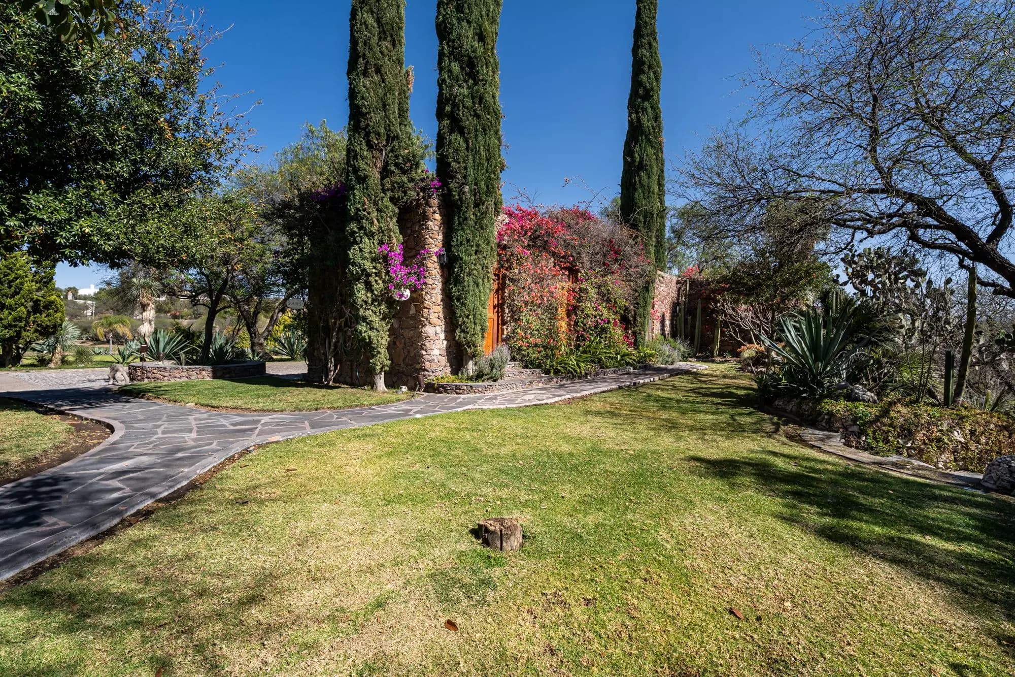 Rancho Las Palmas — photo 5 of 10