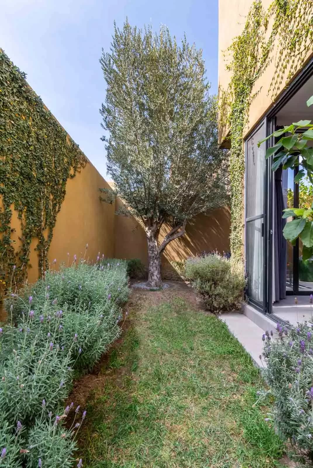 Casa Olivier — photo 9 of 10