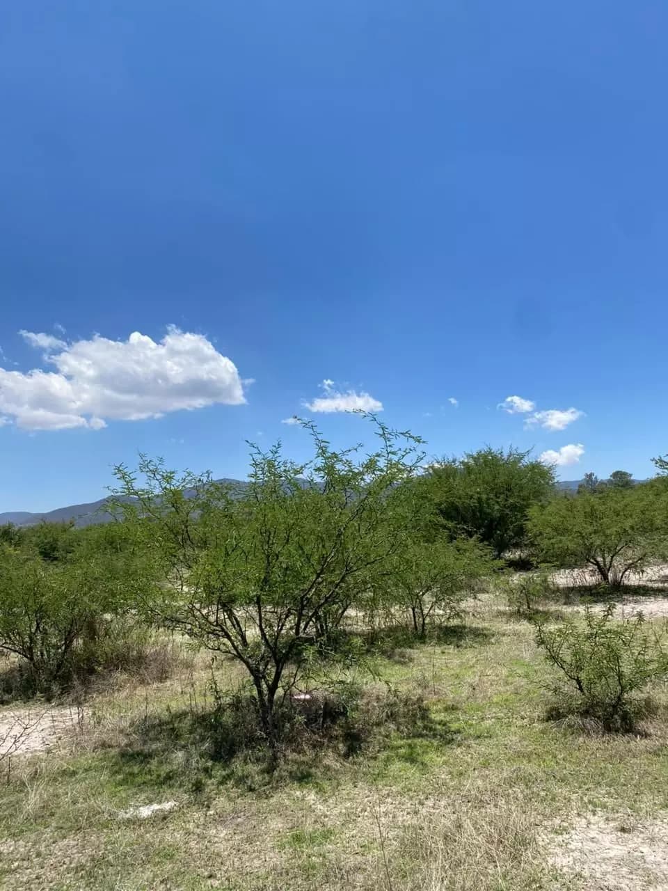 TERRENO POLIGONO LAGUNA ESCONDIDA — photo 2 of 2