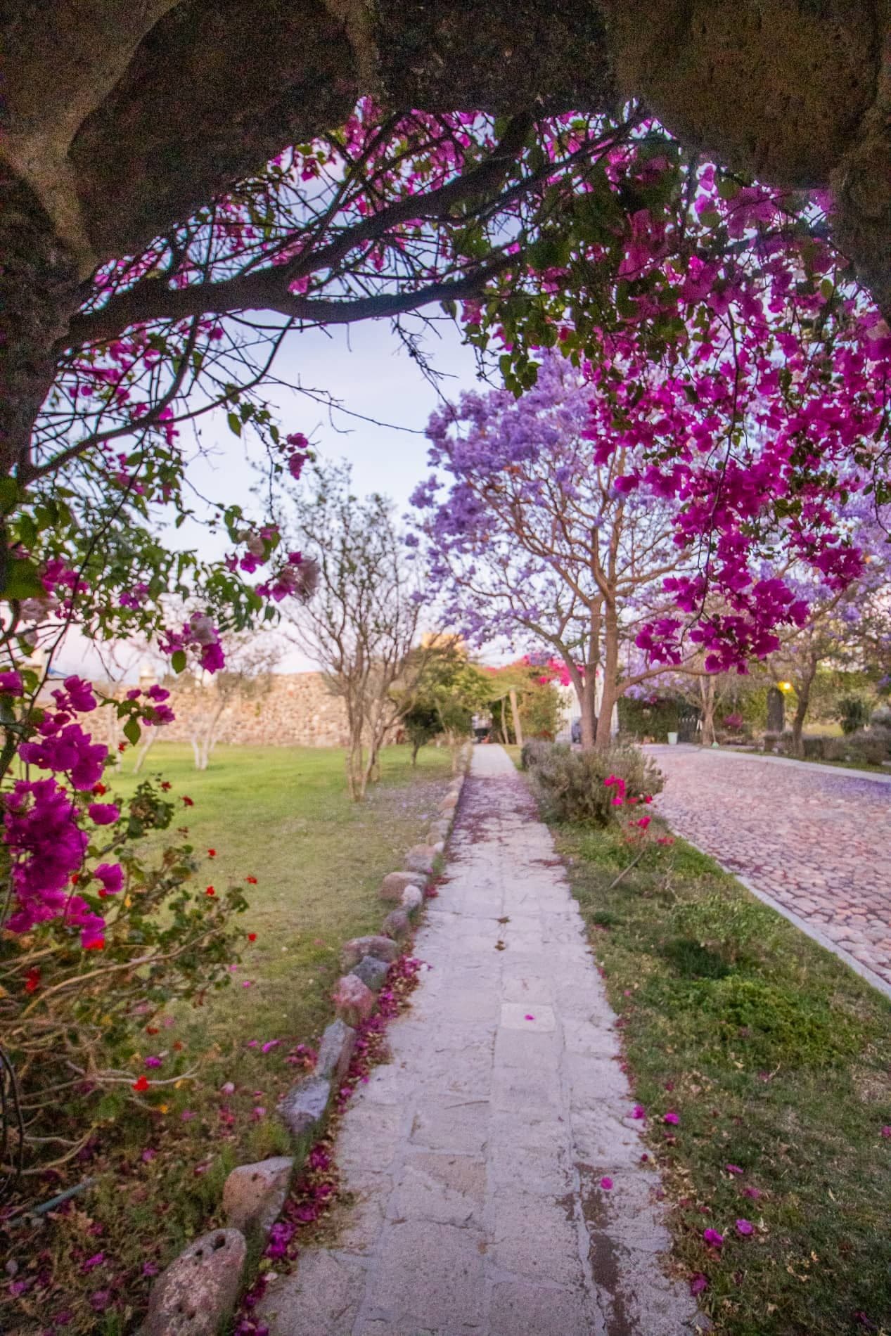 AltaVista Lot 2 – 1,025 m² | Large Homesite in Exclusive Gated Community — photo 7 of 10