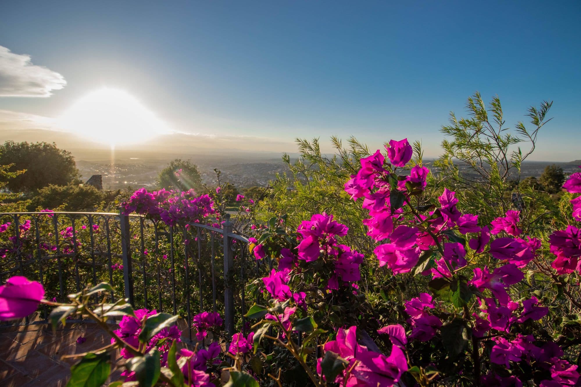 AltaVista Lot 2 – 1,025 m² | Large Homesite in Exclusive Gated Community — photo 4 of 5