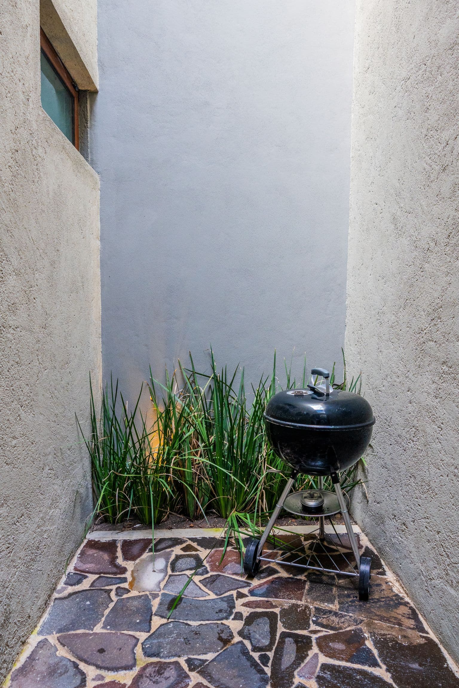 Casa Chewbacca — photo 6 of 10