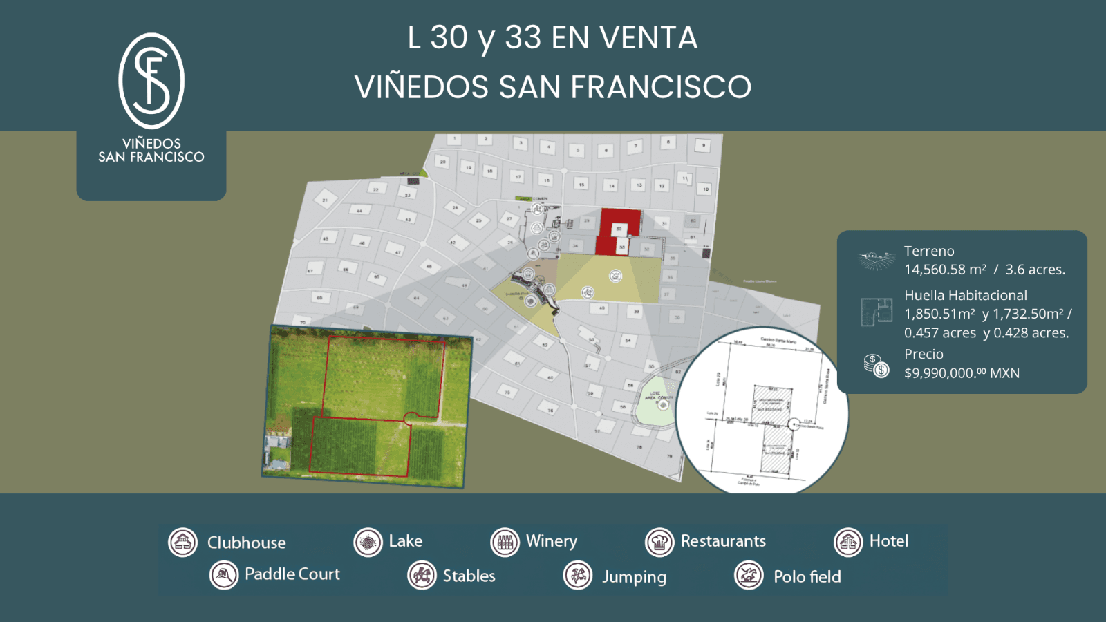 L 30 Y 33 VIÑEDOS SAN FRANCISCO — photo 1 of 1