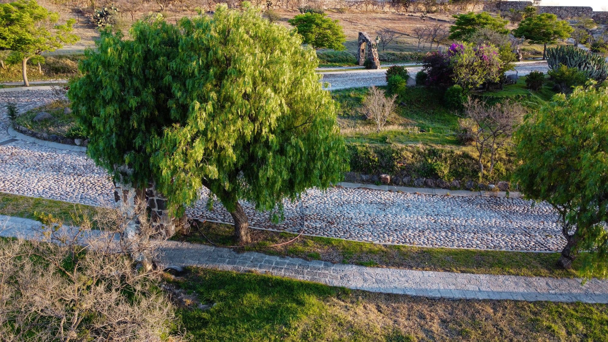AltaVista Lot 18 – 1,027 m² | Exclusive Luxury Homesite in San Miguel de Allende — photo 5 of 10