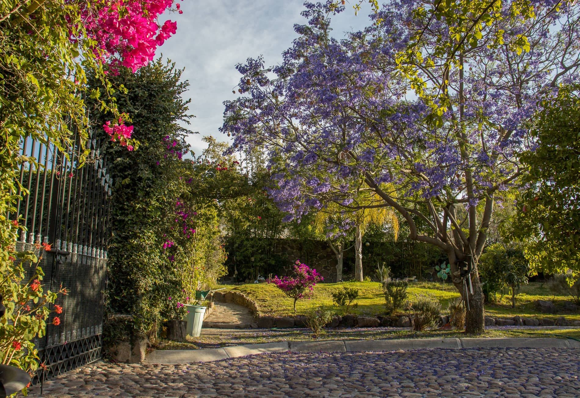 AltaVista Lot 18 – 1,027 m² | Exclusive Luxury Homesite in San Miguel de Allende — photo 6 of 10