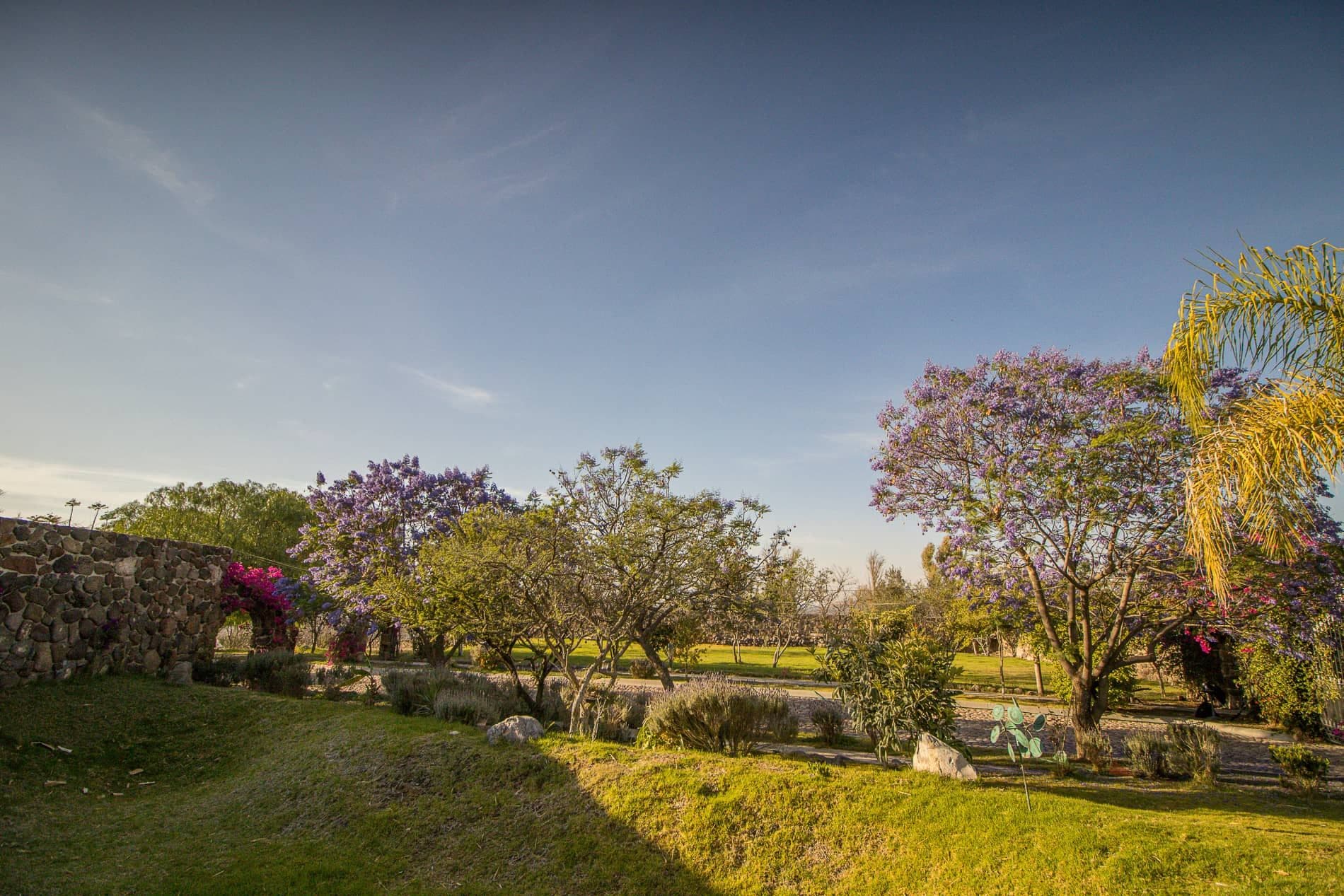 AltaVista Lot 18 – 1,027 m² | Exclusive Luxury Homesite in San Miguel de Allende — photo 8 of 10