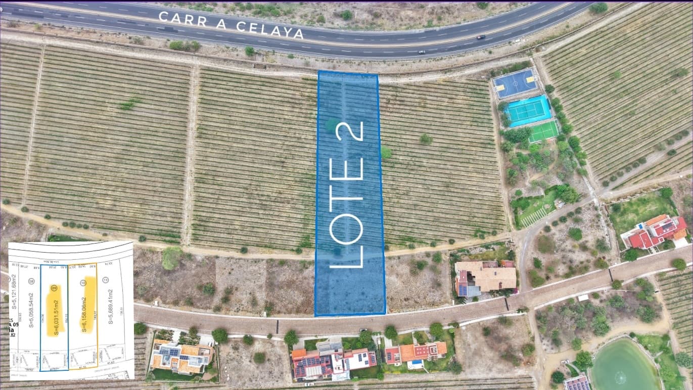Merlot Lot 2 — photo 6 of 7