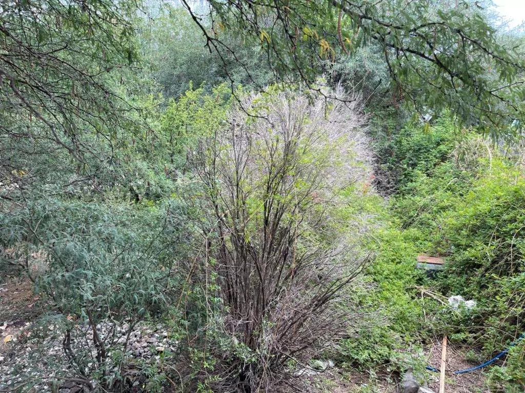 Terreno La Cieneguita I — photo 1 of 4