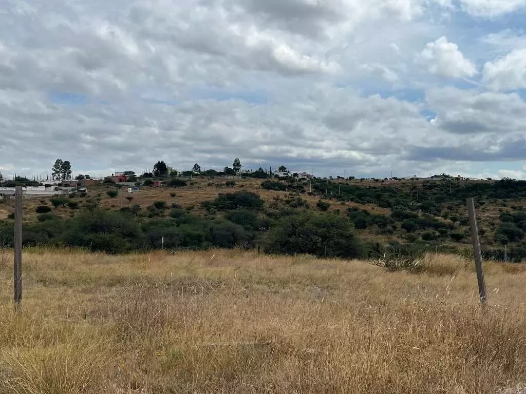 Lote Tatli — photo 2 of 8