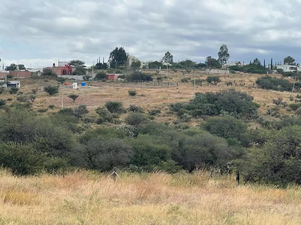 Lote Tatli — photo 4 of 8