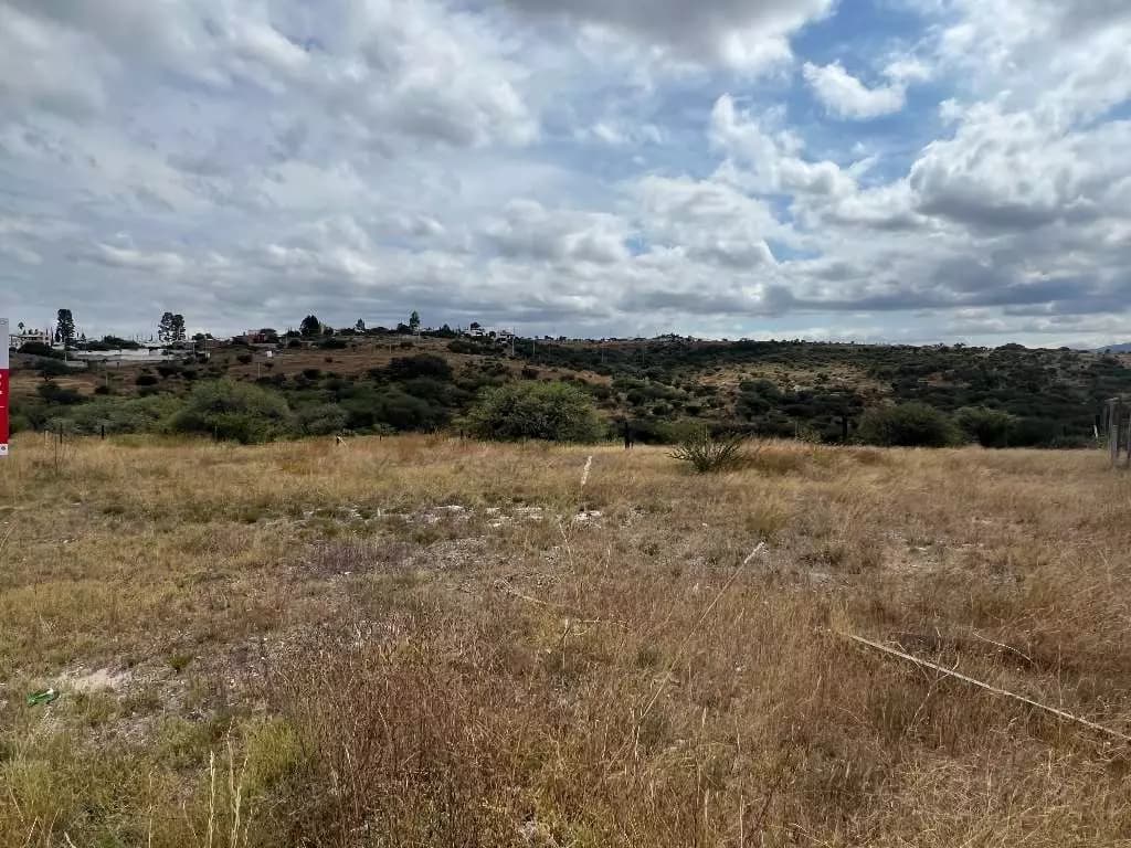 Lote Tatli — photo 5 of 8