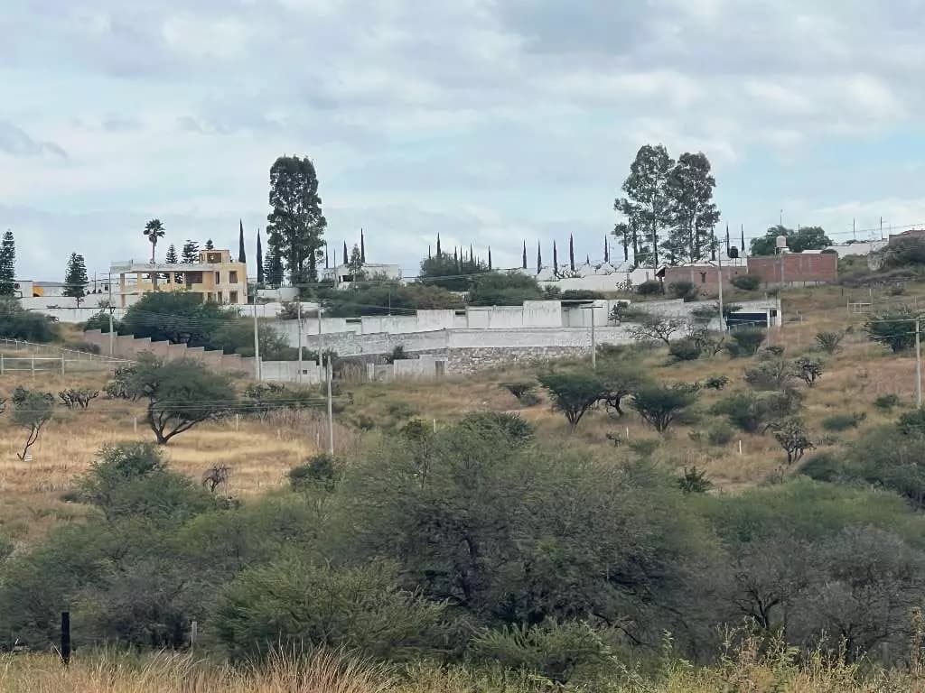 Lote Tatli — photo 6 of 8
