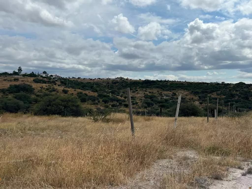 Lote Tatli — photo 7 of 8