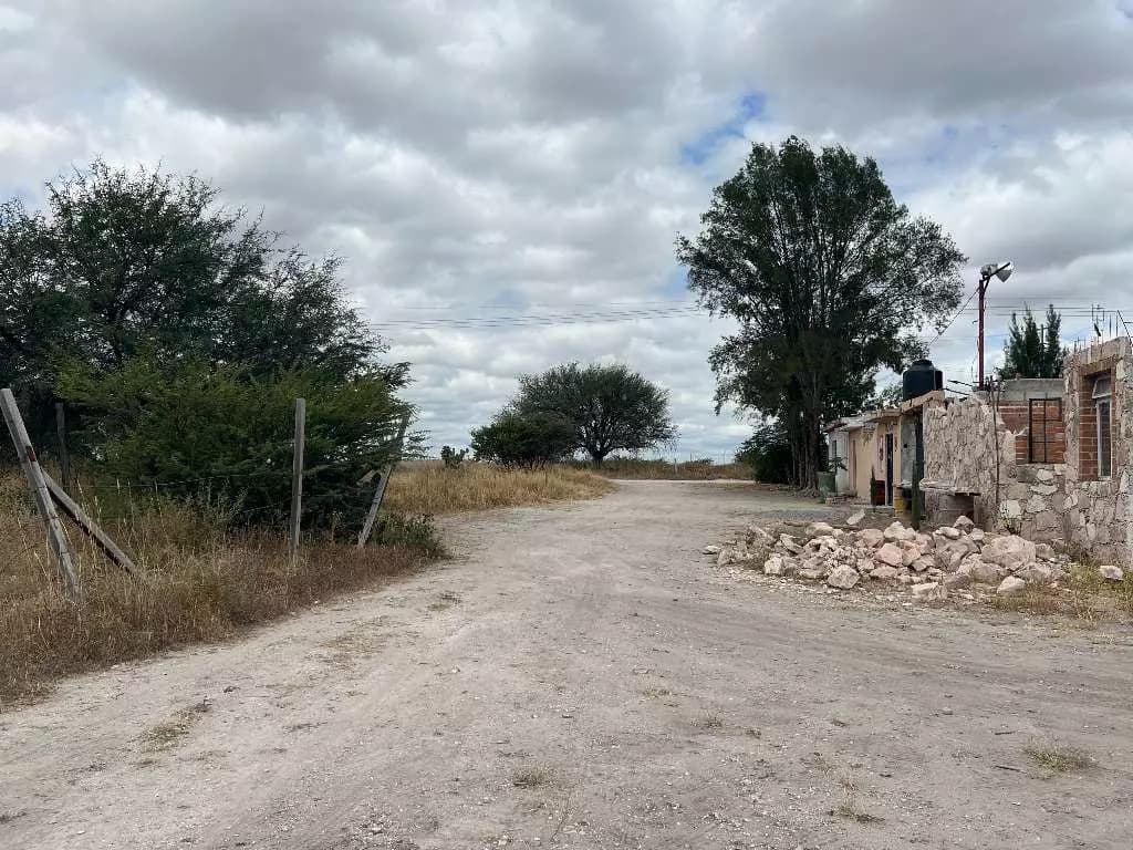 Lote Tatli — photo 8 of 8