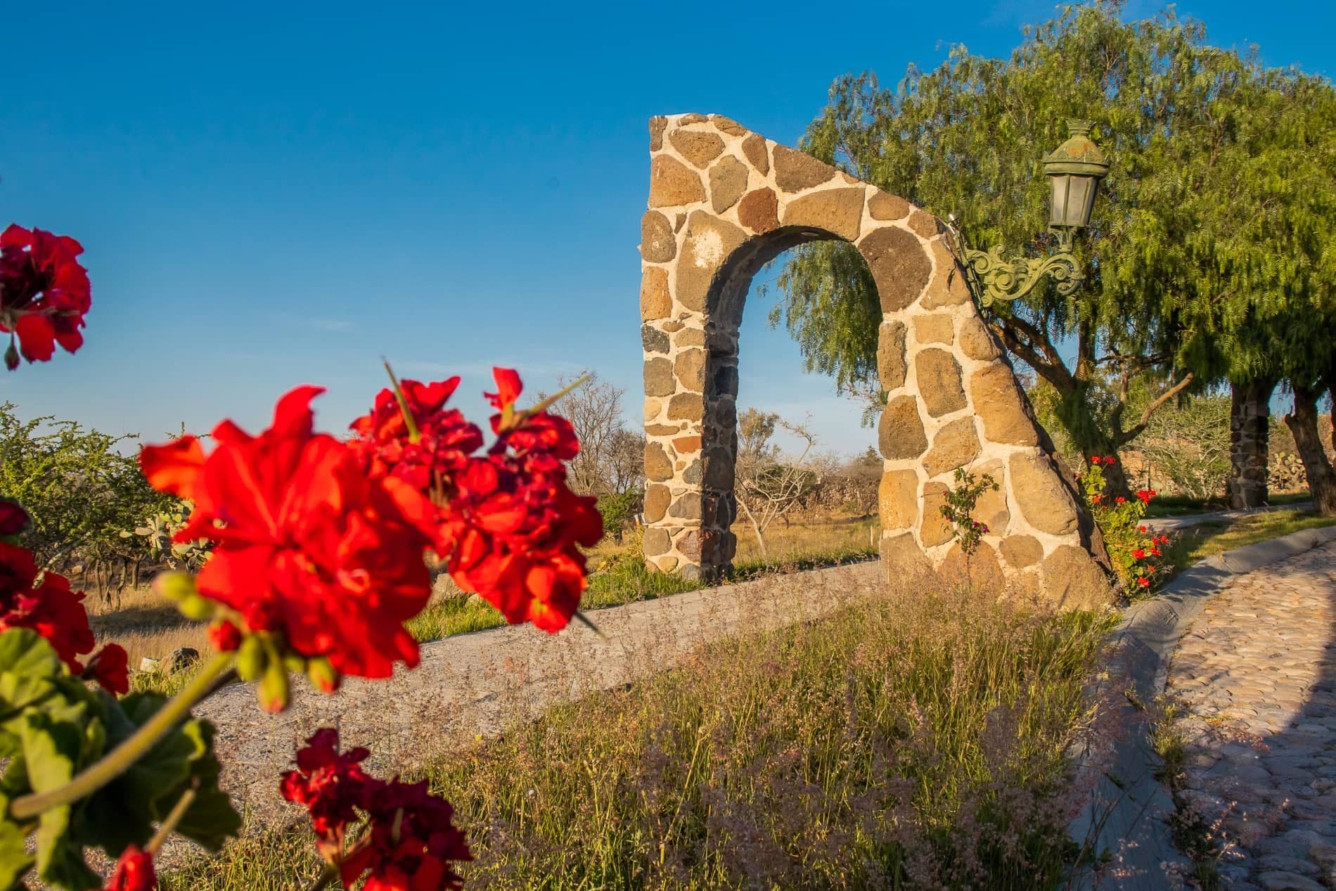 AltaVista Lot 14 – 1,511 m² | Large Luxury Homesite Near Centro