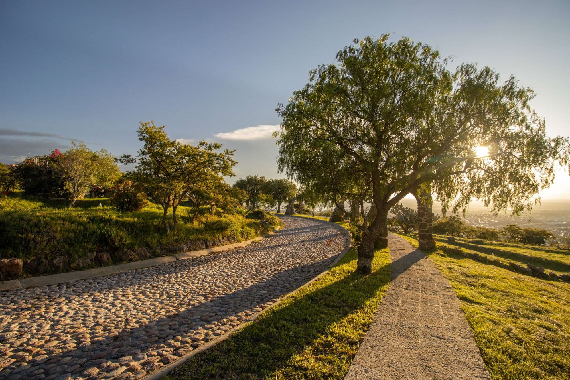 AltaVista Lot 14 – 1,511 m² | Large Luxury Homesite Near Centro — photo 5 of 10