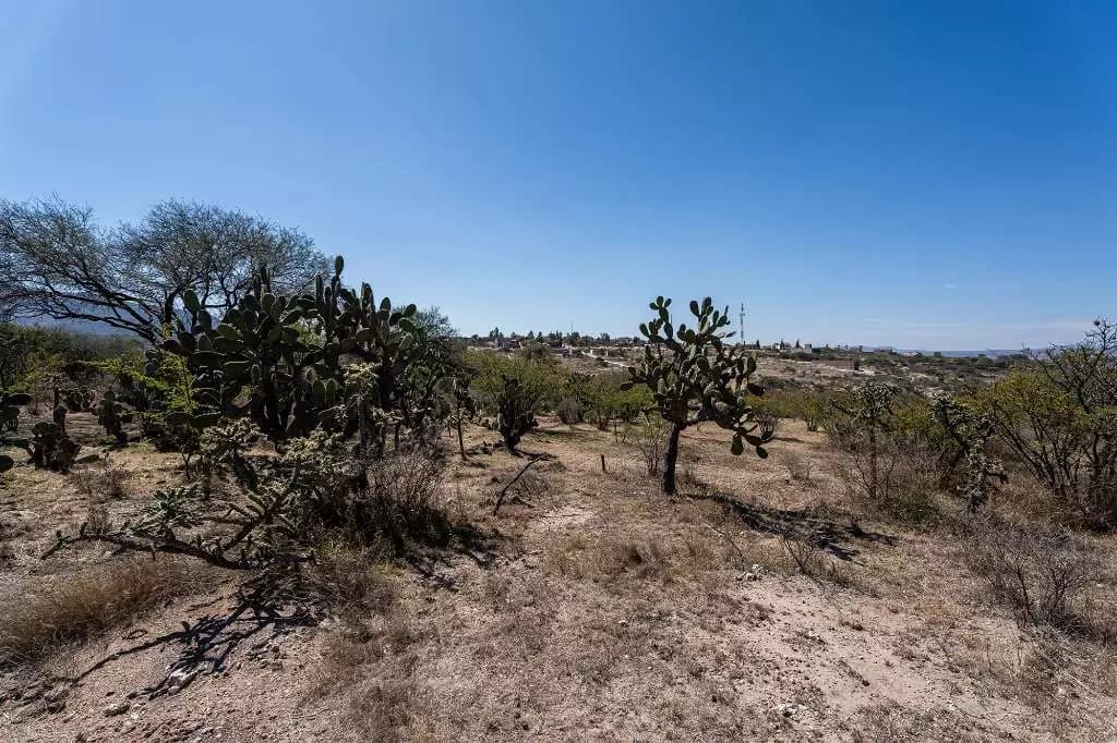 Don Diego Lot 11 — photo 10 of 10