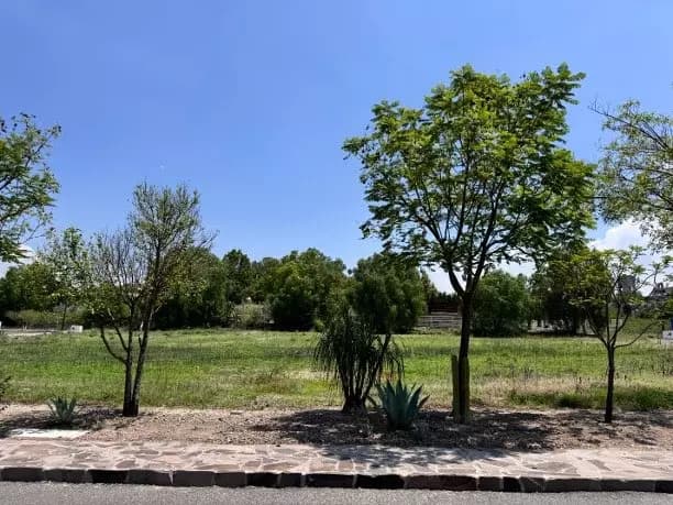 Lote 5 Manzana 7 — photo 10 of 10