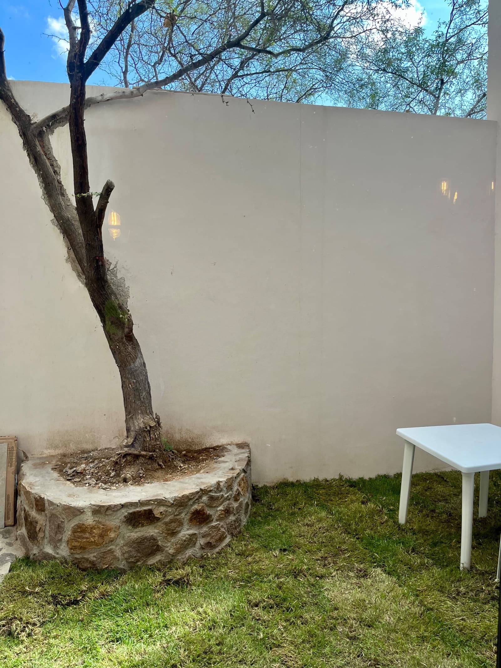 Casa Rivera — photo 10 of 10