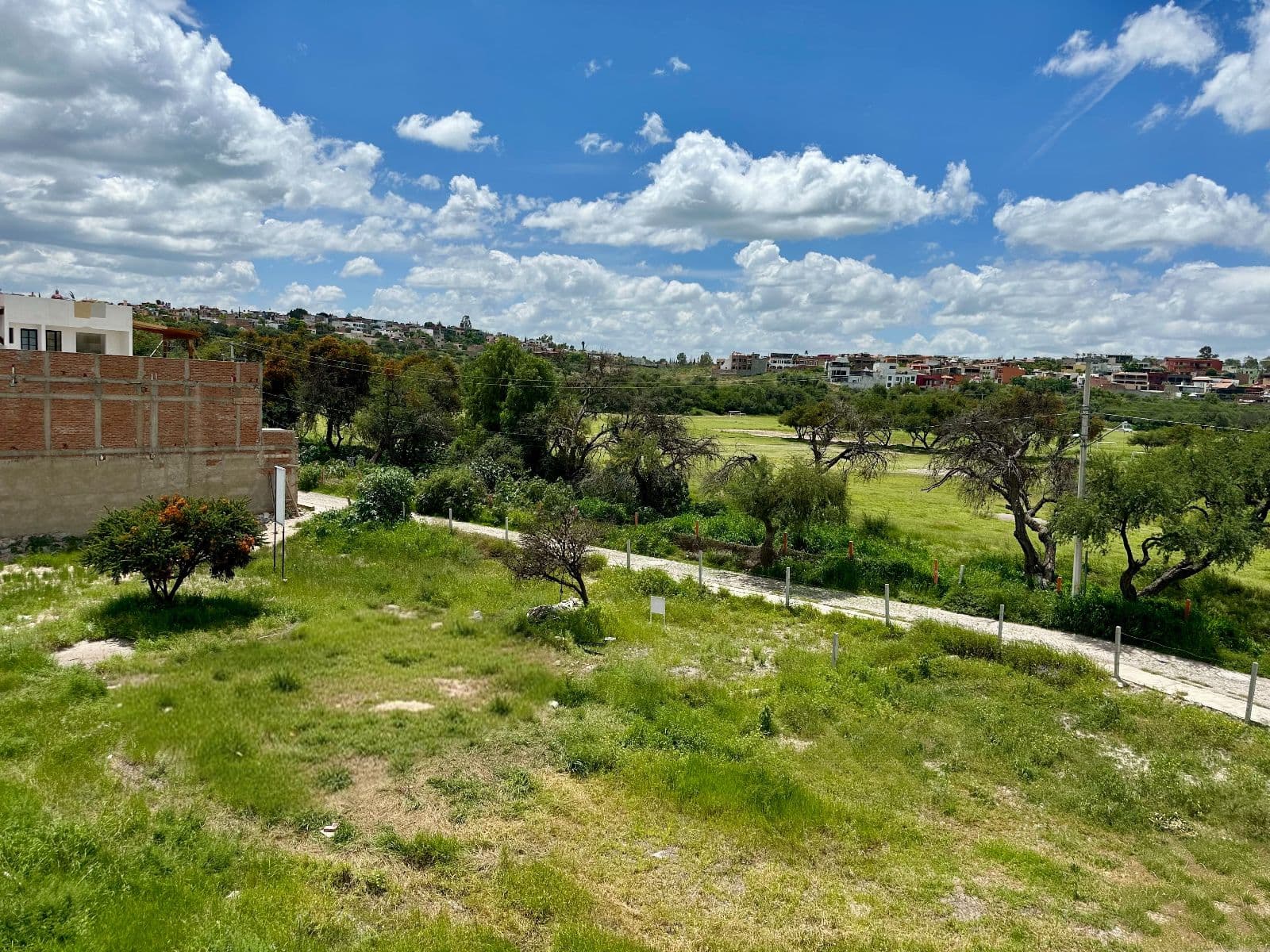 Mexiquito Lot 10