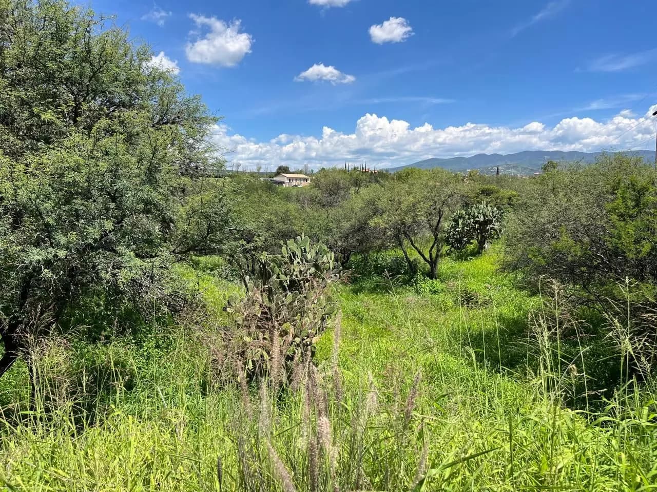 Rancho La Loma Lote 7 — photo 2 of 2