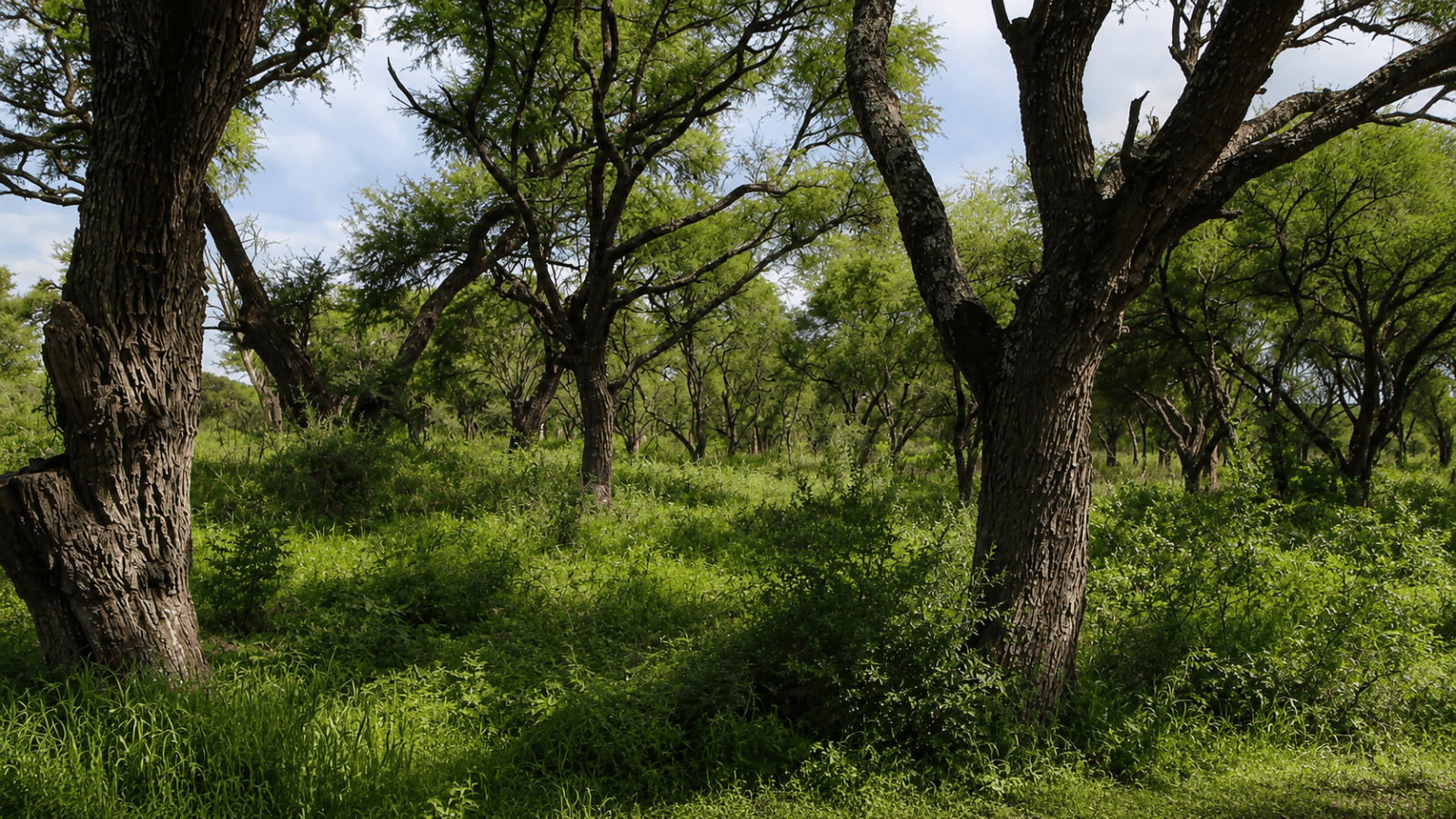 Rancho de Montecillo — photo 4 of 10