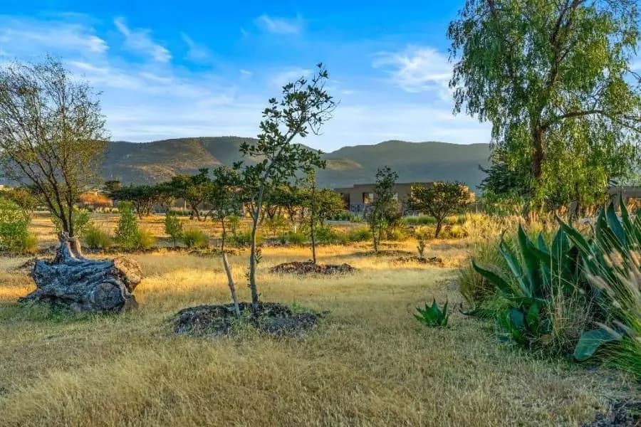 Homesite Providencia Vida de Campo — photo 5 of 8