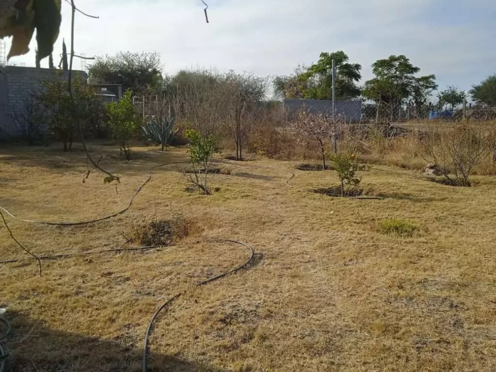 Terreno La Vivienda — photo 2 of 10