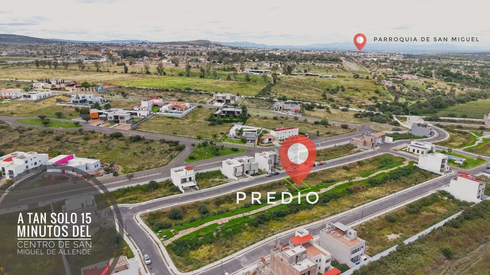 Lote Lavanda