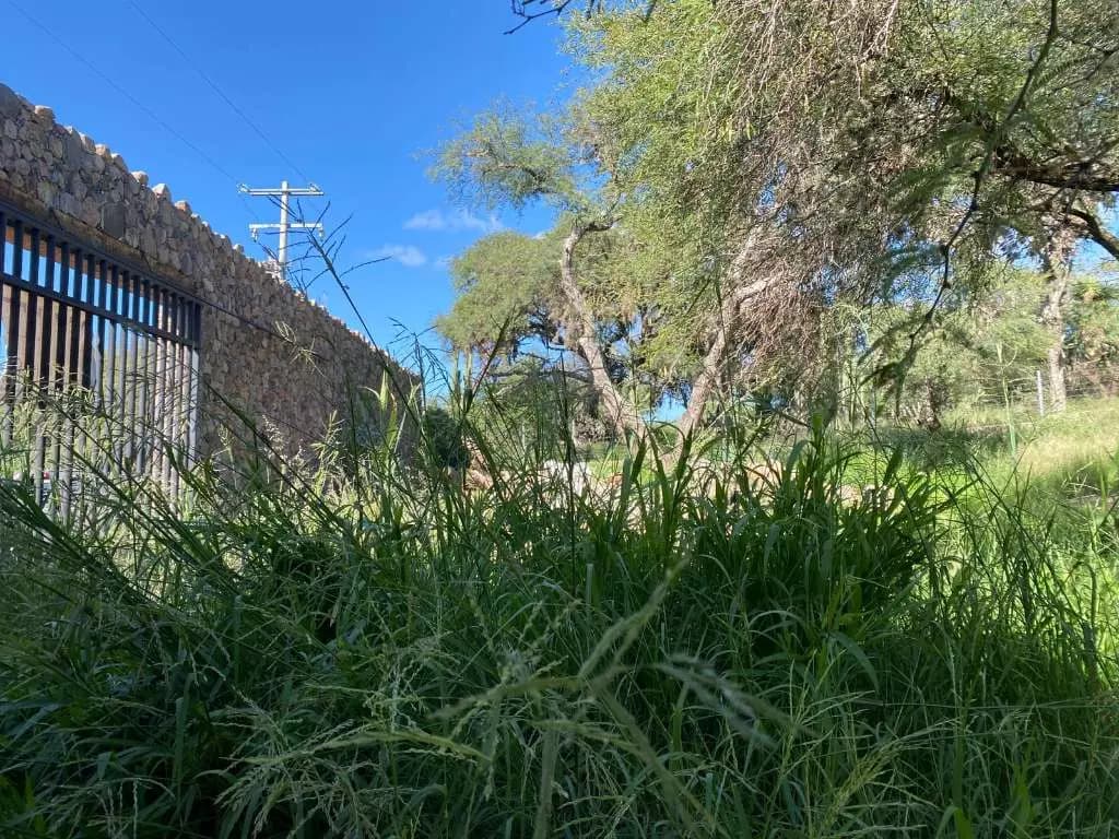 San Sebastian De Aparicio — photo 8 of 10