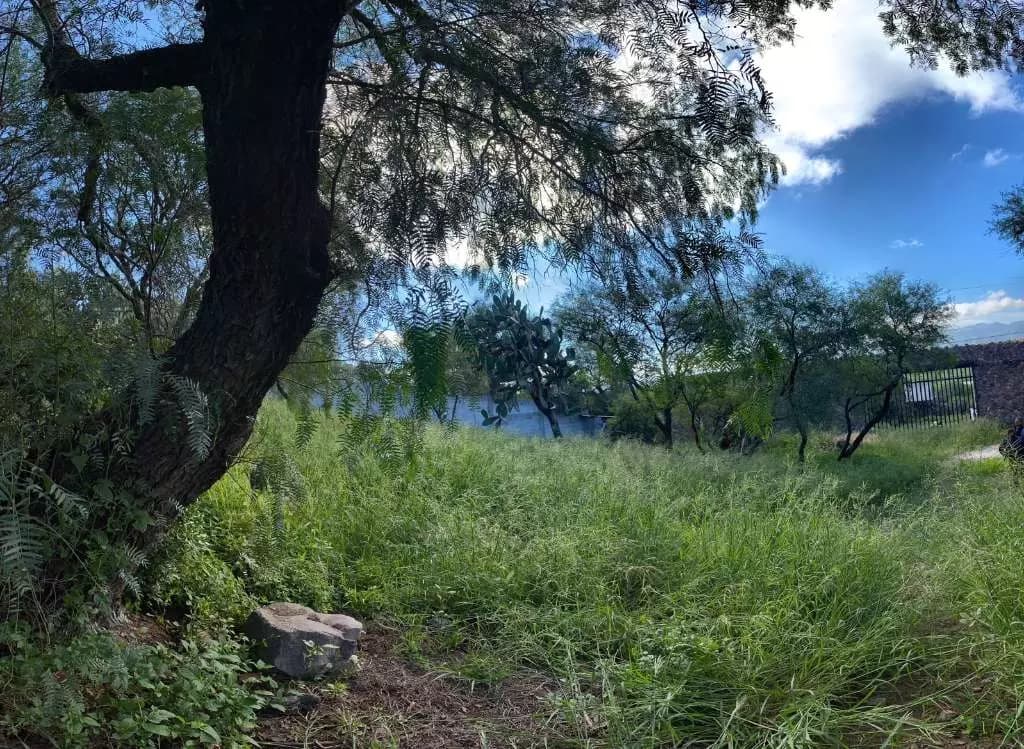 San Sebastian De Aparicio — photo 9 of 10