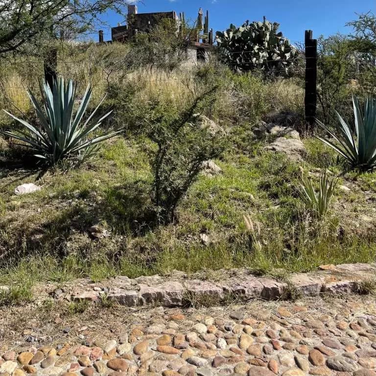 Lote Fraccionamiento La Presa — photo 4 of 7