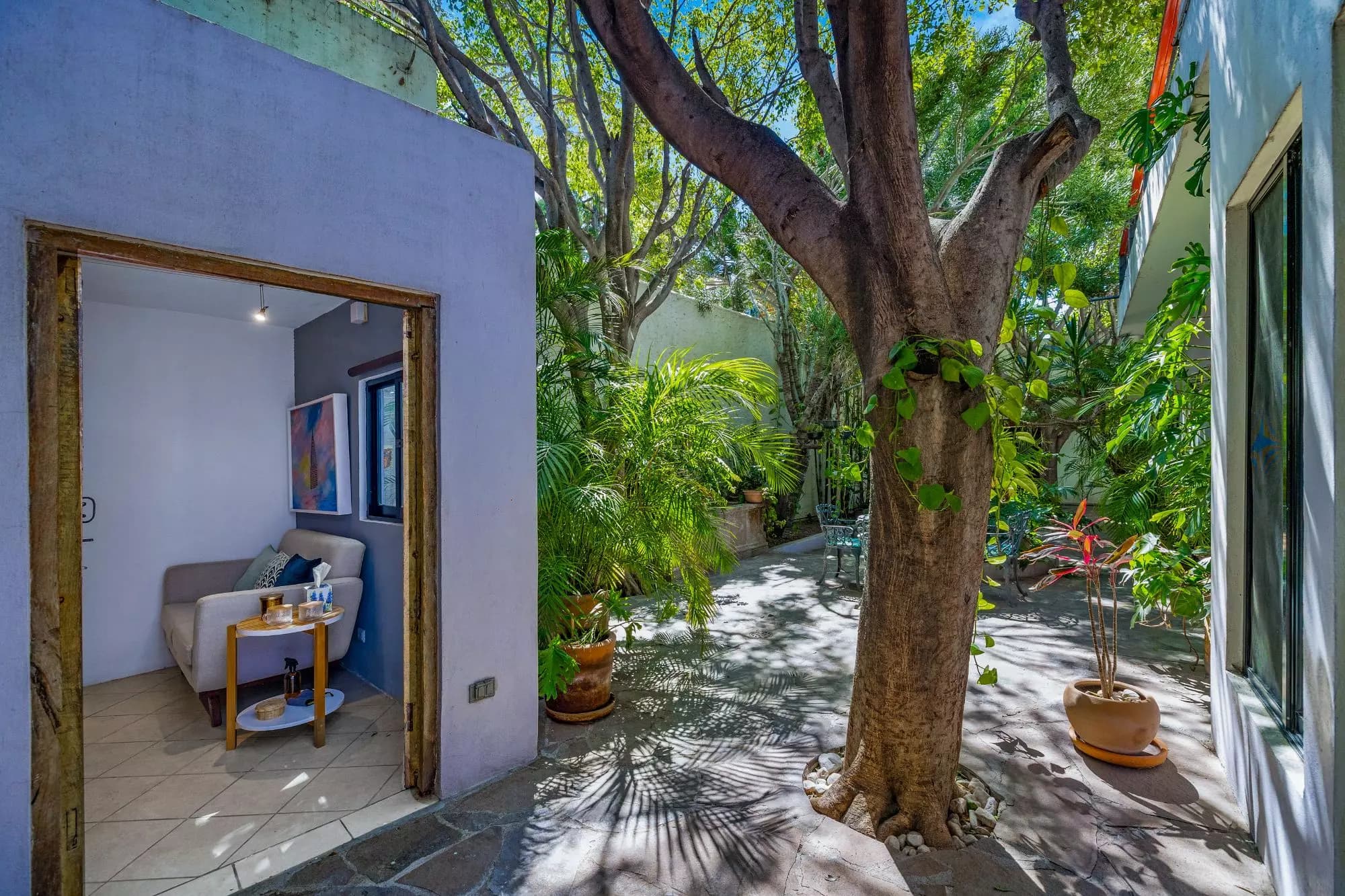 Casa Entre Arboles — photo 9 of 10