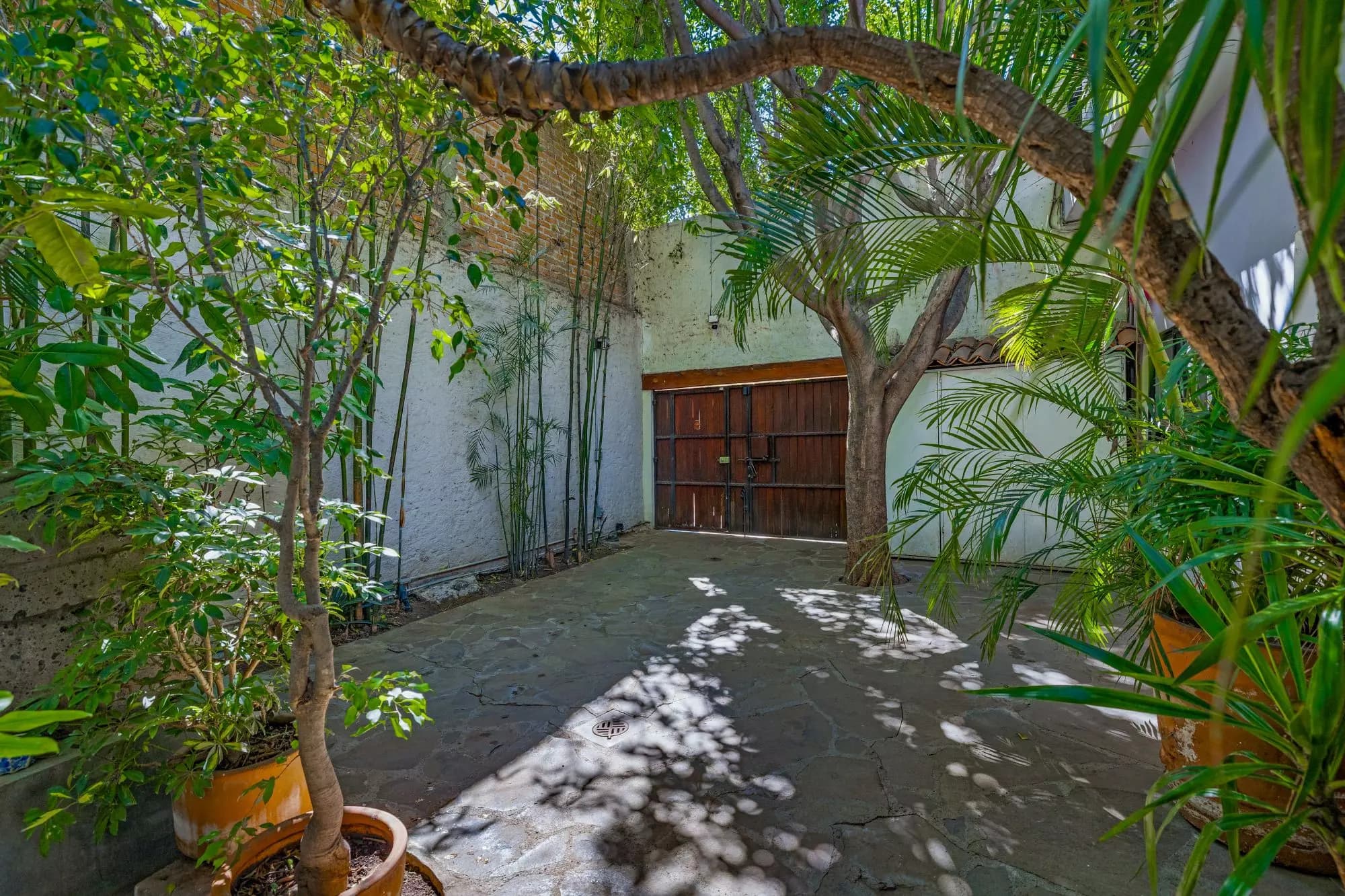 Casa Entre Arboles — photo 4 of 10