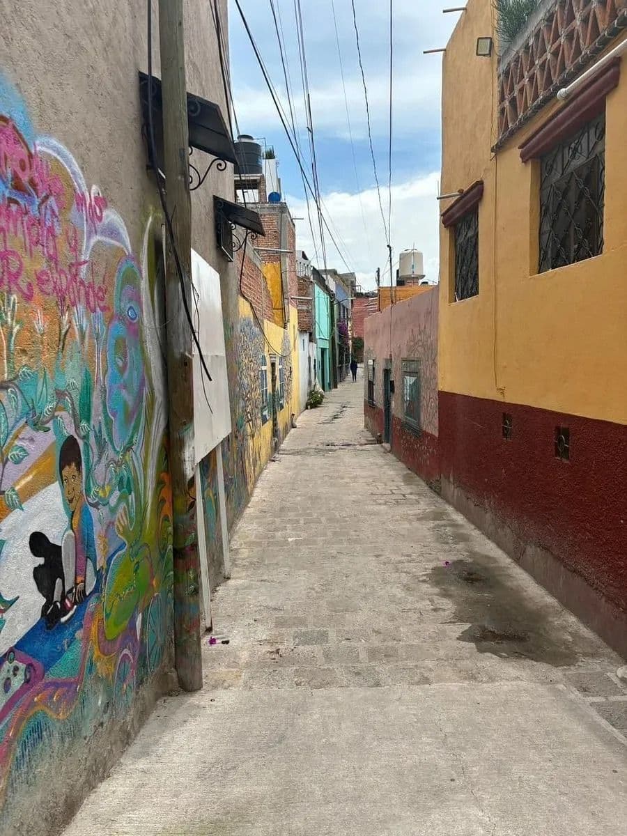 Lote Purísima — photo 9 of 10