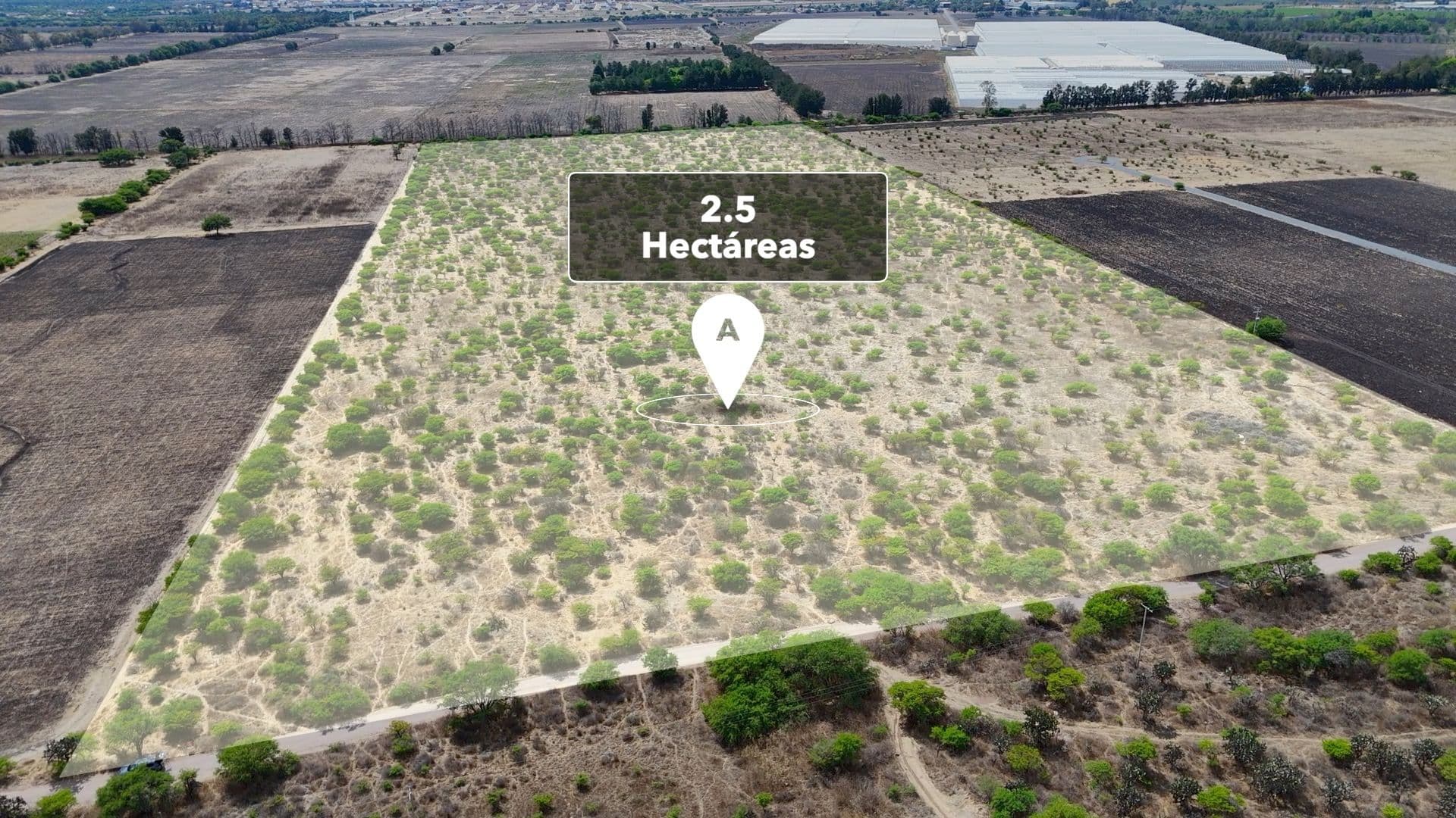 Hectáreas Los Tovar — photo 1 of 10