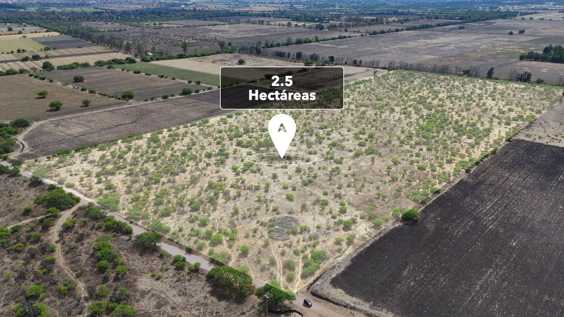 Hectáreas Los Tovar — photo 2 of 10