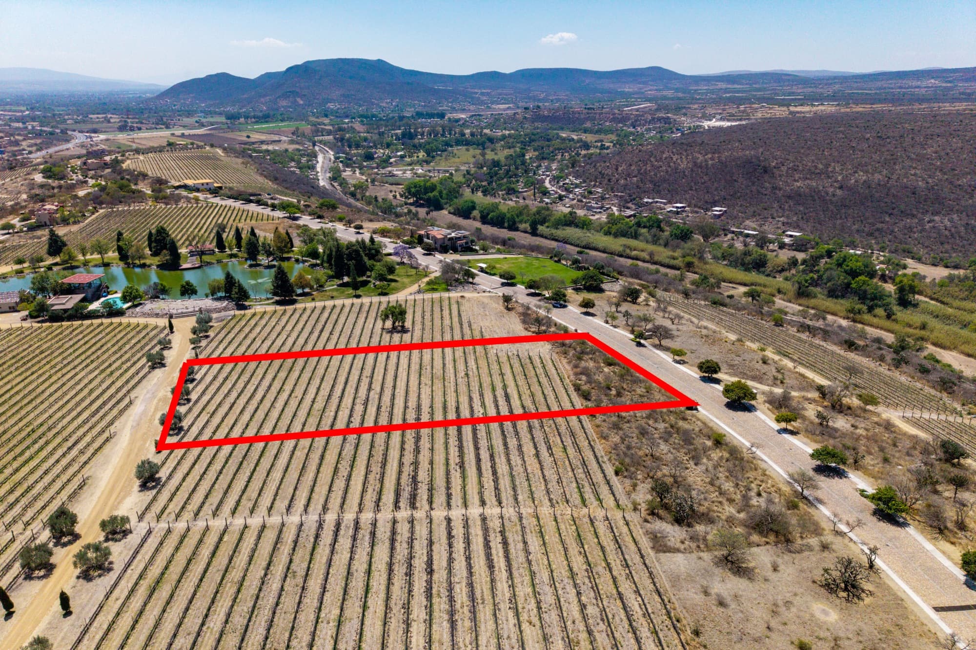 Lote Viñedo San Miguel — photo 4 of 10